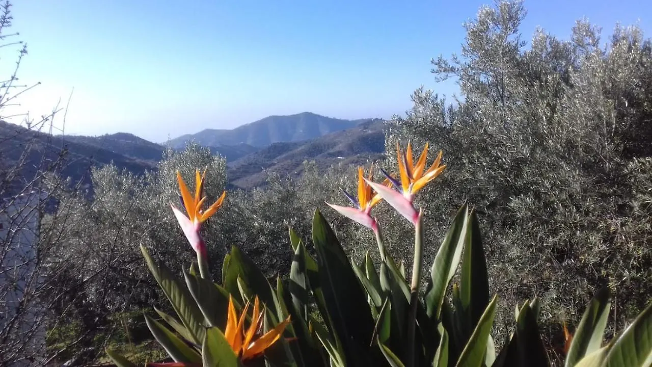 Holiday home Finca Vina Villa Archez