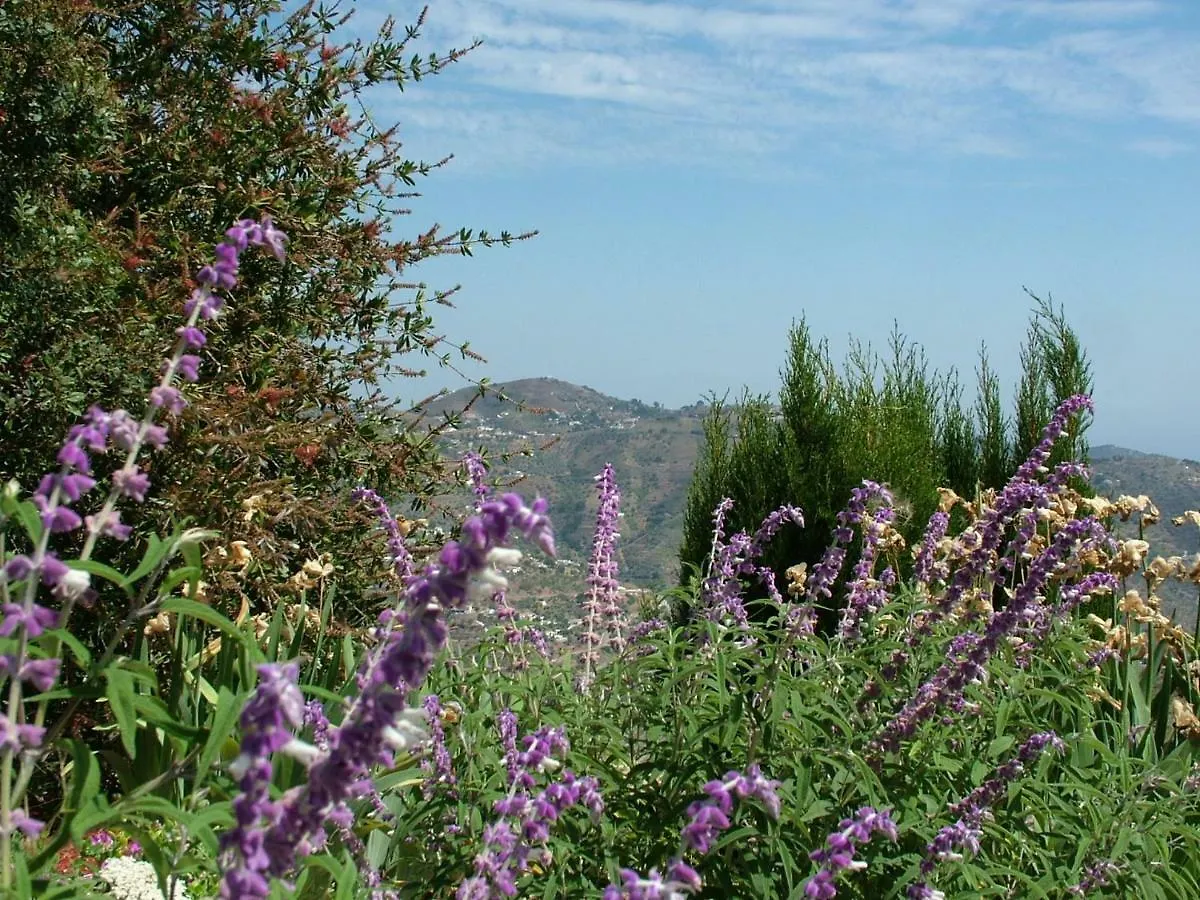 Finca Vina Villa Archez Holiday home